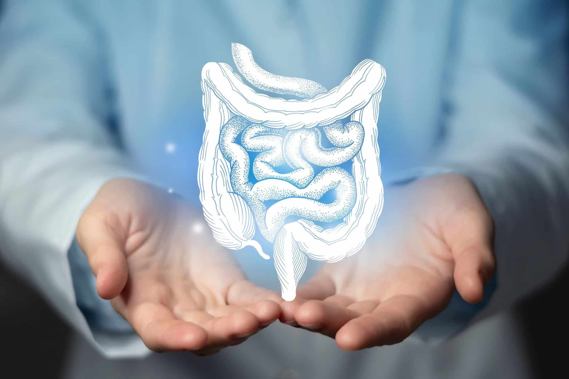 Transplante fecal: o que é e para que serve?