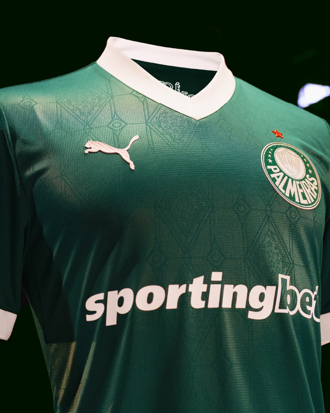 Palmeiras revela novos uniformes para a temporada de 2025; veja fotos