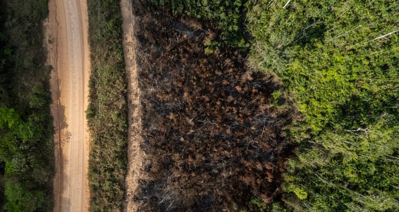 Desapropriação de terra queimada (ADPF 743) gera flagrante insegurança jurídica